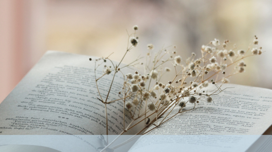 TALLER DE POESIA EN LÍNIA PER AL DOL