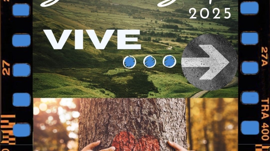 “No podemos normalizar que en Semana Santa haya muertes en la carretera”, Yolanda Domenech en CAT Radio