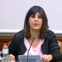 Comparecencia Congreso Diputados